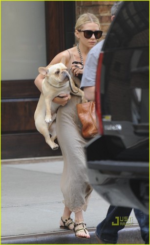 Ashley Olsen Steps Out with Pet Pooch