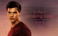 Breaking Dawn wallpaper! - twilight-series wallpaper