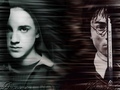 Draco VS Harry (Tom and Daniel Yr 2) - tom-felton photo