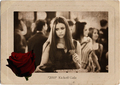 Elena's Rose Scrapbook - elena-gilbert fan art