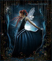 Moonlight Fairy - fairies photo
