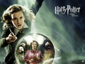 hermione-granger - Harry Potter and the Order of the Phoenix (2007) wallpaper