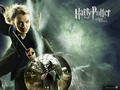 Harry Potter and the Order of the Phoenix (2007) - luna-lovegood wallpaper