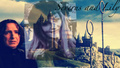 Lily and Severus - severus-snape-and-lily-evans fan art