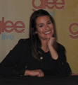 Manchester Press Conference - glee photo
