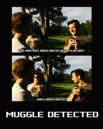 Muggle Detected