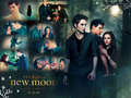 Twilight Series - twilight-series wallpaper