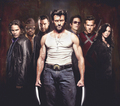 Wolverine - hugh-jackman-as-wolverine photo