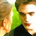 edward - the-cullens icon