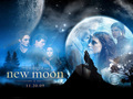 new moon  - twilight-series photo
