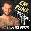CM Punk - wwe photo