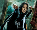 death-eaters - Deathly Hallows Part II Official Wallpapers wallpaper