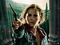 Deathly Hallows Part II Official Wallpapers - hermione-granger wallpaper