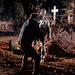 Friday the 13th Part VI: Jason Lives - horror-movies icon