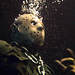 Friday the 13th Part VI: Jason Lives - movies icon