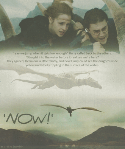  The trio on the dragon :))