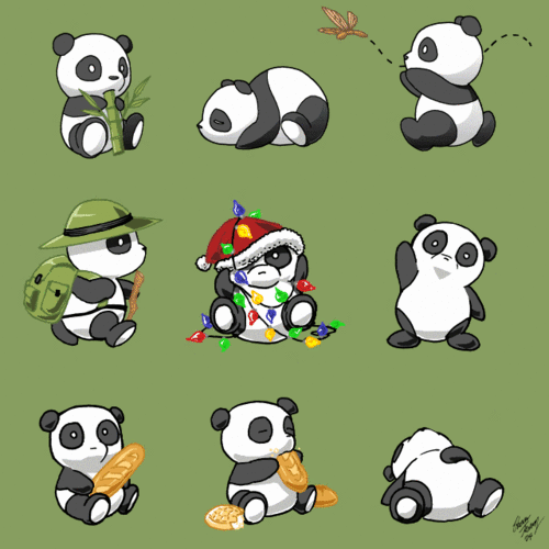  più Pandas!
