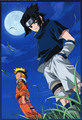 Naruto and Sasuke - naruto photo