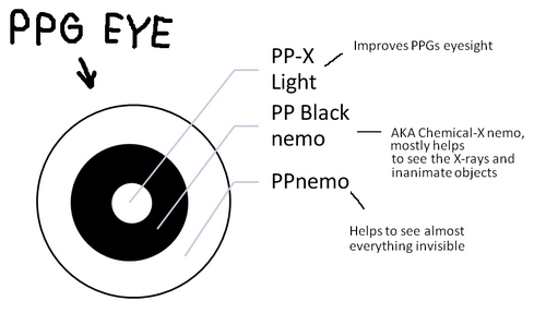  PPG eye