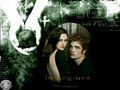 twilight-series - Twilight Movie wallpaper