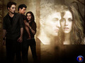 Twilight Series - twilight-series photo
