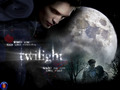 Twilight Series - twilight-series wallpaper
