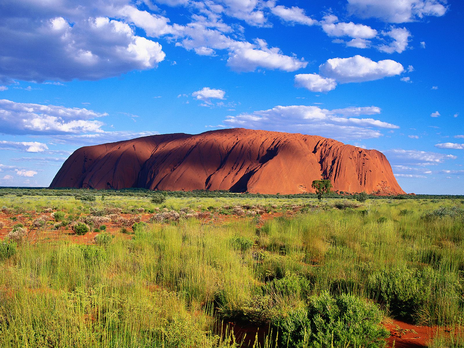 Uluru-Kata Tjuta National Park - Australia Wallpaper (23340417) - Fanpop