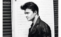 Daniel Radcliffe for GQ - harry-potter photo
