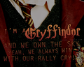 Fan Art - Gryffindor - harry-potter fan art