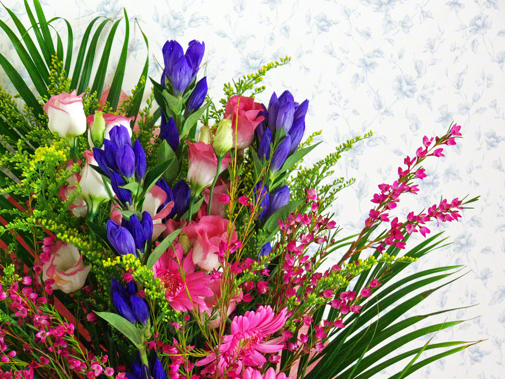 Flowers... - Beautiful Nature Photo (23422934) - Fanpop