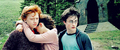 HP <3 - harry-potter-vs-twilight fan art