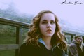 Hermiona Granger - hermione-granger fan art