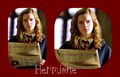 Hermione - harry-potter fan art