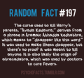 Random facts - harry-potter photo