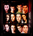 Twilight movie posters - twilight-series fan art