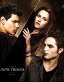 new moon. - twilight-series fan art