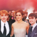Harry Potter and the Deathly Hallows Part 2 London Premiere - hermione-granger icon