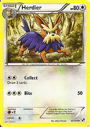 Herdier pokemon Card