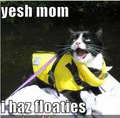 LOL. - lol-cats photo