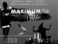 Maximum Ride Movie Poster - maximum-ride fan art