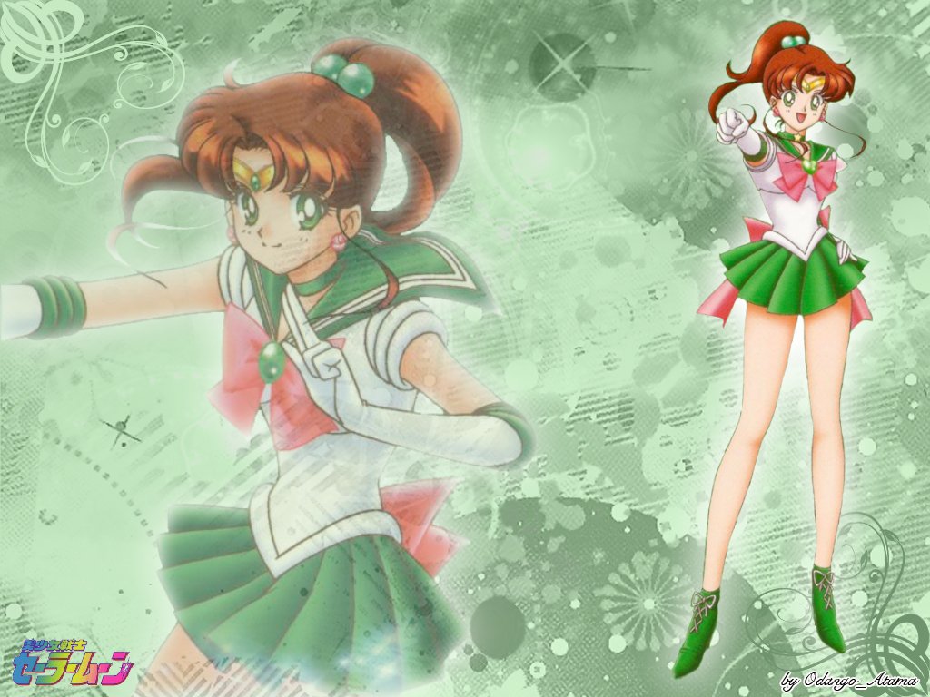 Sailor Moon: Sailor Jupiter - Picture