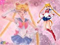 Sailor Moon - sailor-moon wallpaper