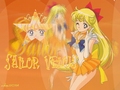 sailor-moon - Sailor Venus wallpaper