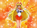 Sailor Venus - sailor-moon wallpaper