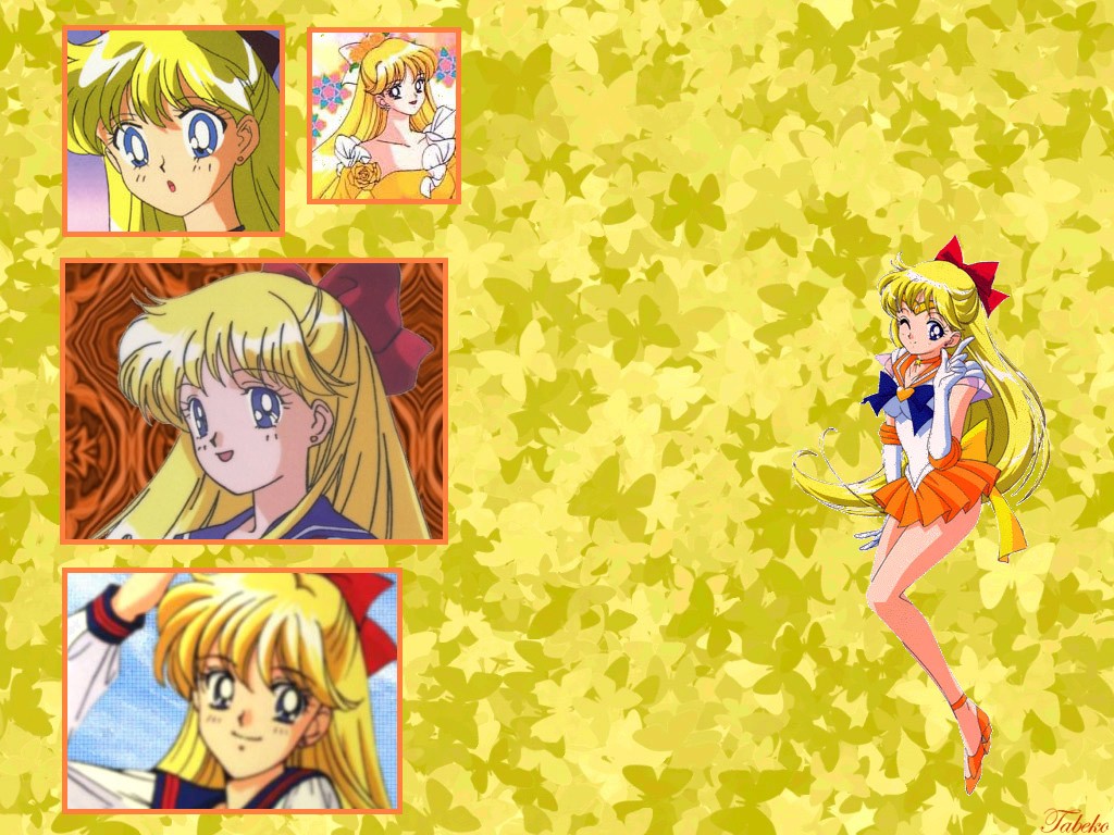 Sailor Moon: Sailor Venus - Wallpaper Gallery