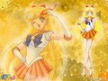 sailor-moon - Sailor Venus wallpaper