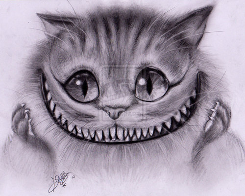  The Cheshire Cat