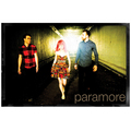 Tunnel Poster (Photo by Lindsey Byrnes) - paramore photo