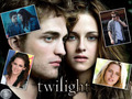 team-twilight - Twilight  wallpaper wallpaper