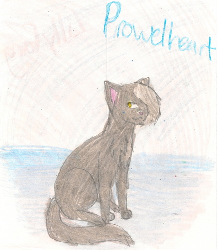  prowelheart